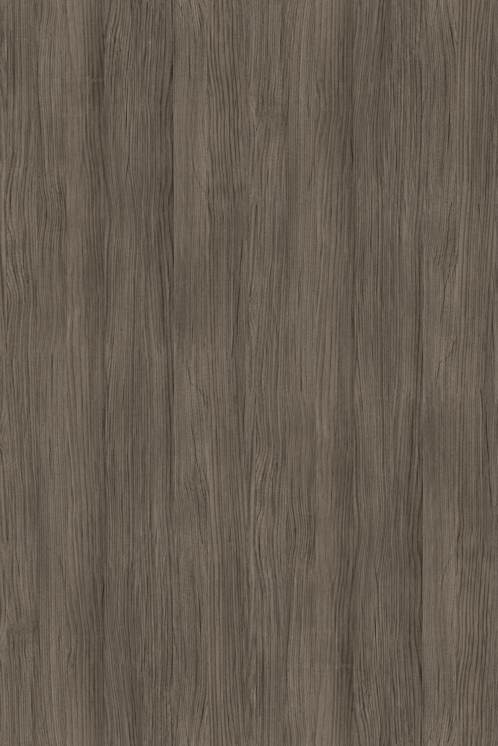 81039 Wenge